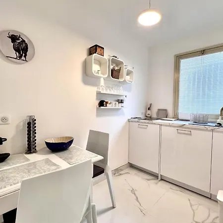 Beautiful T1 With Garden In The Heart Of شقة كان